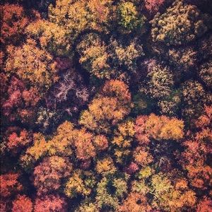 Meet your Posher, Kellie